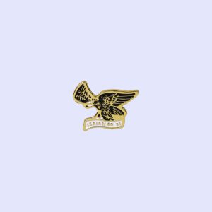 Lapel Pin Isaiah 40:31 PK3