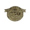 Gold Lapel Pin - USA 250 Year - PK6 | Swanson Christian Products