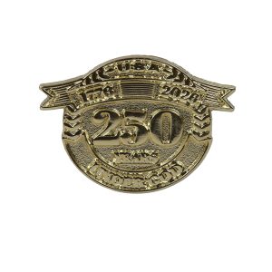 Lapel Pin USA 250 Year Gold PK6