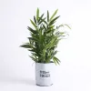 Grow Bag Bloom Terra Cotta- Velcro- 1 Gallon- Swanson Christian Product