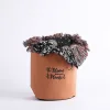 Grow Bag Bloom Terra Cotta- Velcro- 1 Gallon- Swanson Christian Product
