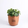 Grow Bag Bloom Terra Cotta- Velcro- 1 Gallon- Swanson Christian Product