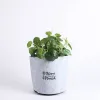 Grow Bag Bloom Terra Cotta- Velcro- 1 Gallon- Swanson Christian Product