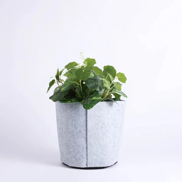 Grow Bag Bloom Terra Cotta- Velcro- 1 Gallon- Swanson Christian Product