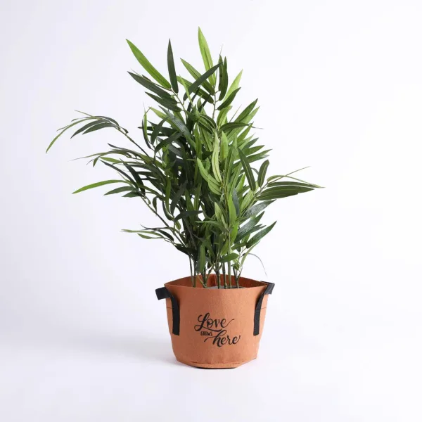 Grow Bag Bloom Terra Cotta- Velcro- 1 Gallon- Swanson Christian Product