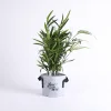 Grow Bag Bloom Terra Cotta- Velcro- 1 Gallon- Swanson Christian Product