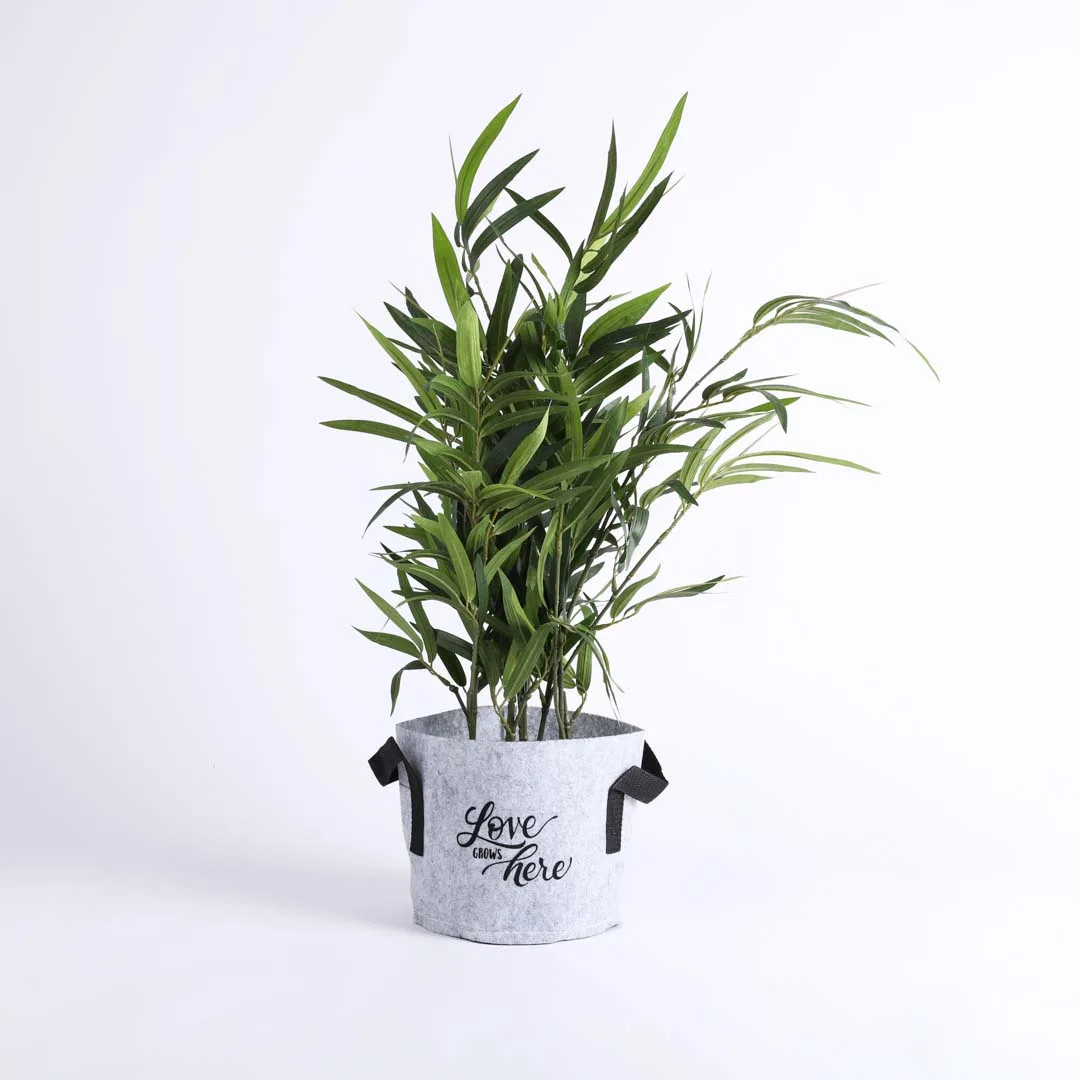 Grow Bag Bloom Terra Cotta- Velcro- 1 Gallon- Swanson Christian Product