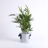 Grow Bag Bloom Terra Cotta- Velcro- 1 Gallon- Swanson Christian Product