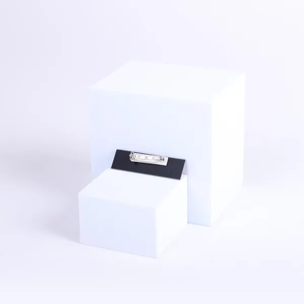 Badge Engraved Usher Gold Pin- Swanson Christian Products