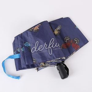 Compact Umbrella – Wonderfully Made