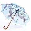 Umbrella Wooden Sticker Hope Renew Soar Eagle- Swanson Christian Products