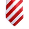 Tie Polyester - American Flag | Swanson Christian Products