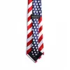 Tie Polyester - American Flag | Swanson Christian Products