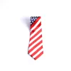 Tie Polyester - American Flag | Swanson Christian Products