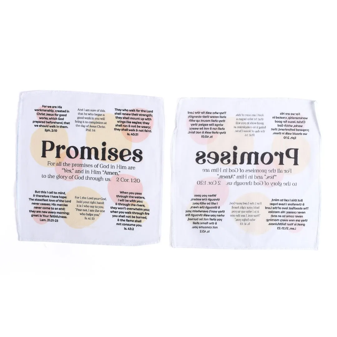 Prayers In Pocket- Promises- Swanson Christian Products