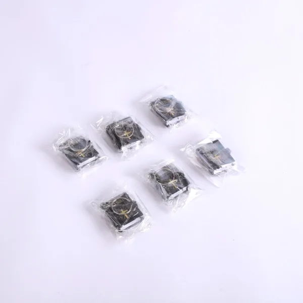 Mini Bible Keychain Black - 6Pk | Swanson Christian Products