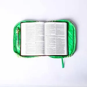 Bible Cover – Chevron – Kiwi – L