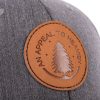 Hat - "Appeal To Heaven" Grey - Swanson Christian Products