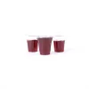 Communion Cup With Cross - Swanson Christian Products