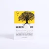 Mustard Seed Of Faith Cards- Swanson Christian Products