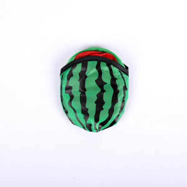 Foldable hand fan- Taste & See- Watermelon- Swanson christian product