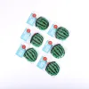 Foldable hand fan- Taste & See- Watermelon- Swanson christian product