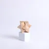 3d Stumbling Block Wooden Puzzle Block- Swanson Christian Products