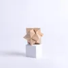 3d Stumbling Block Wooden Puzzle Block- Swanson Christian Products