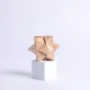 3d Stumbling Block Wooden Puzzle Block- Swanson Christian Products