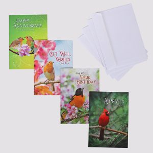 All Occasion Cards – Feathered Friends 12Ct Boxed Set KJV