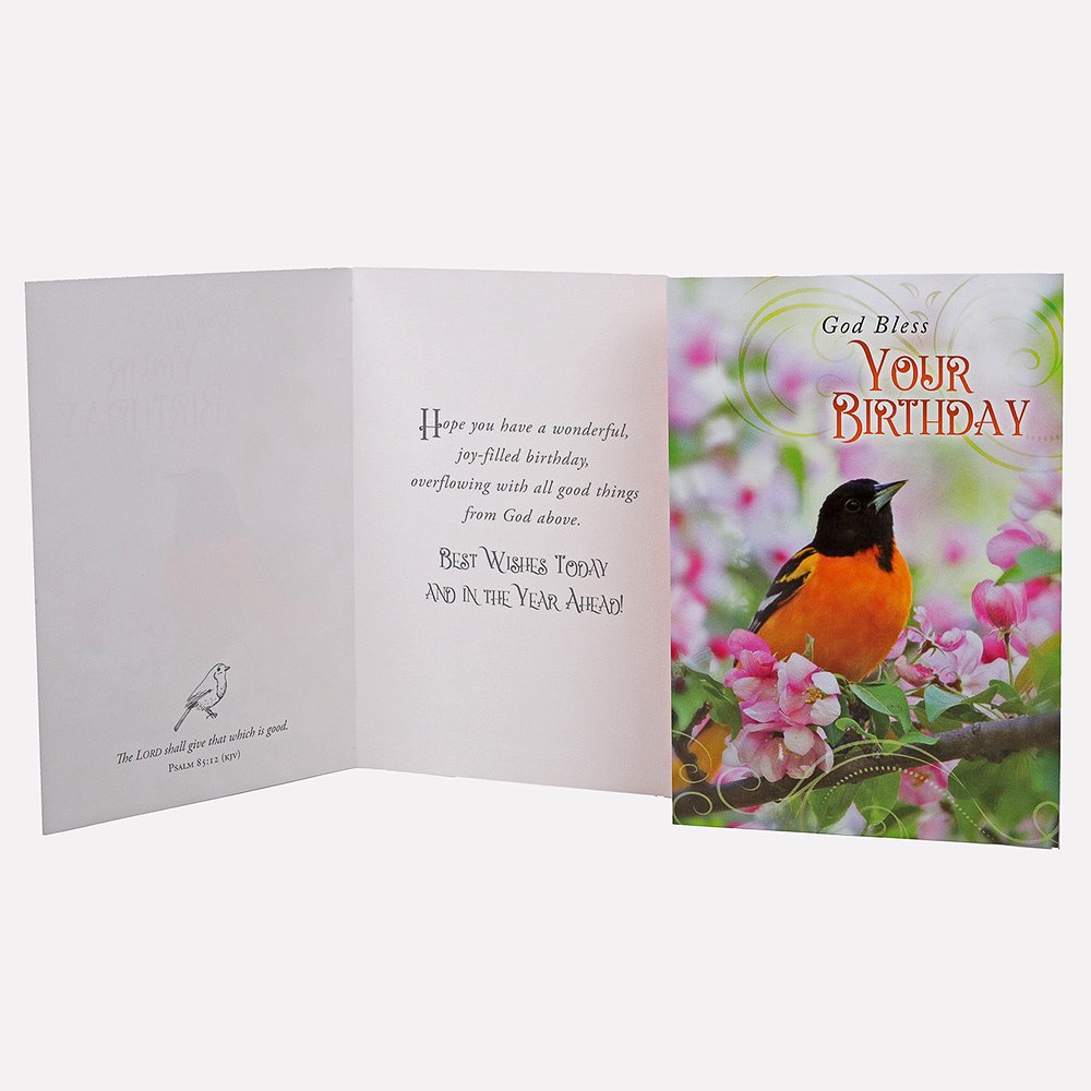 All Occasion Cards - Feathered Friends 12Ct Boxed Set KJV - Image 3