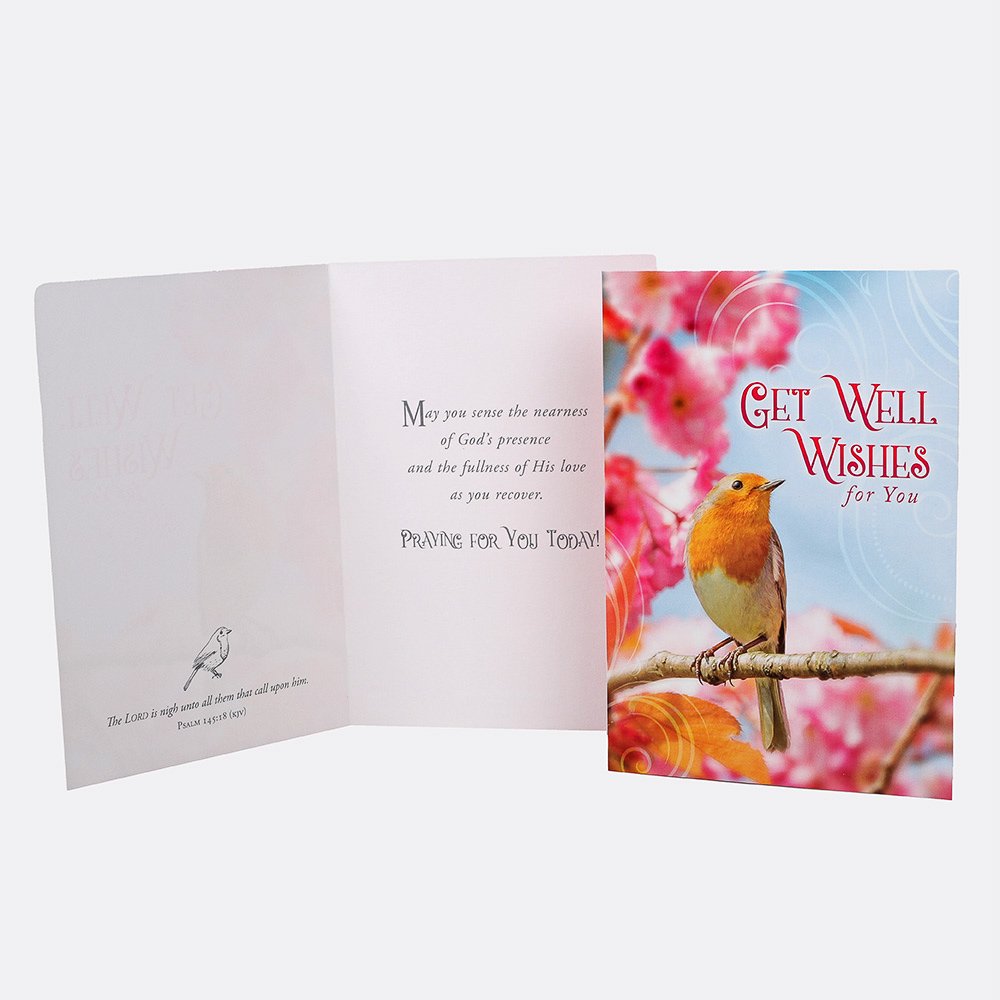 All Occasion Cards - Feathered Friends 12Ct Boxed Set KJV - Image 2