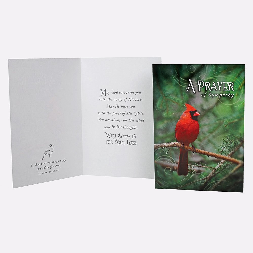 All Occasion Cards - Feathered Friends 12Ct Boxed Set KJV - Image 5