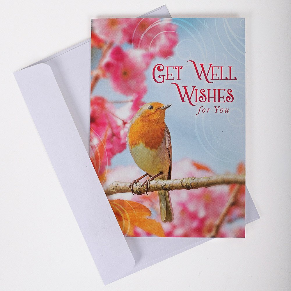 All Occasion Cards - Feathered Friends 12Ct Boxed Set KJV - Image 7