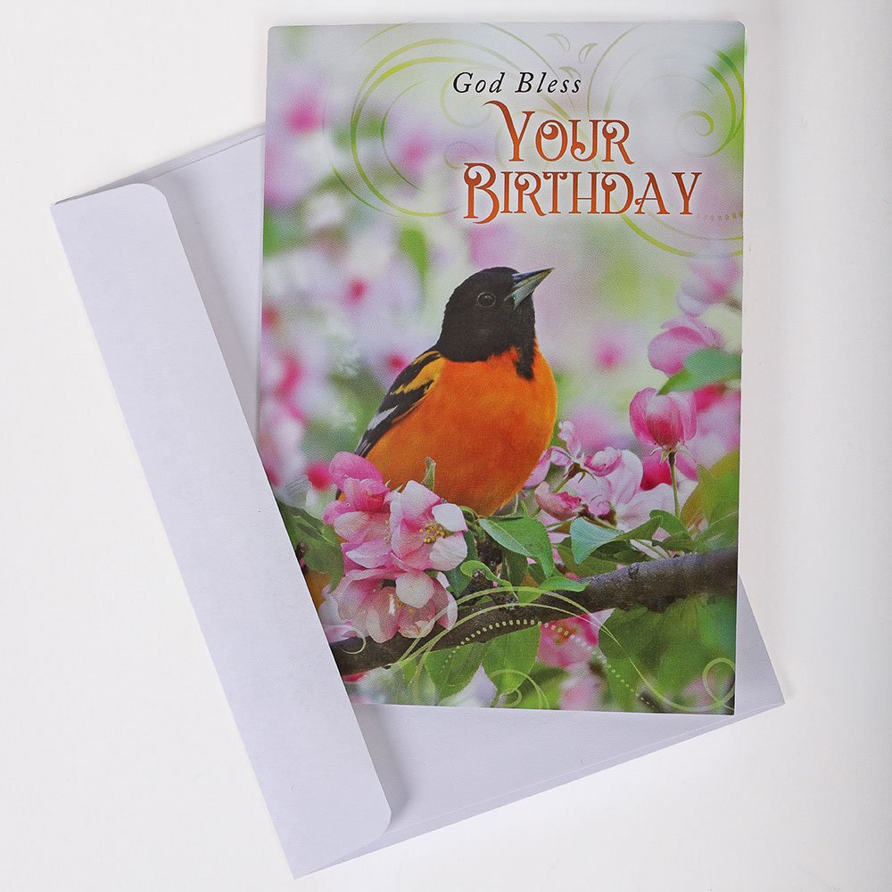 All Occasion Cards - Feathered Friends 12Ct Boxed Set KJV - Image 6