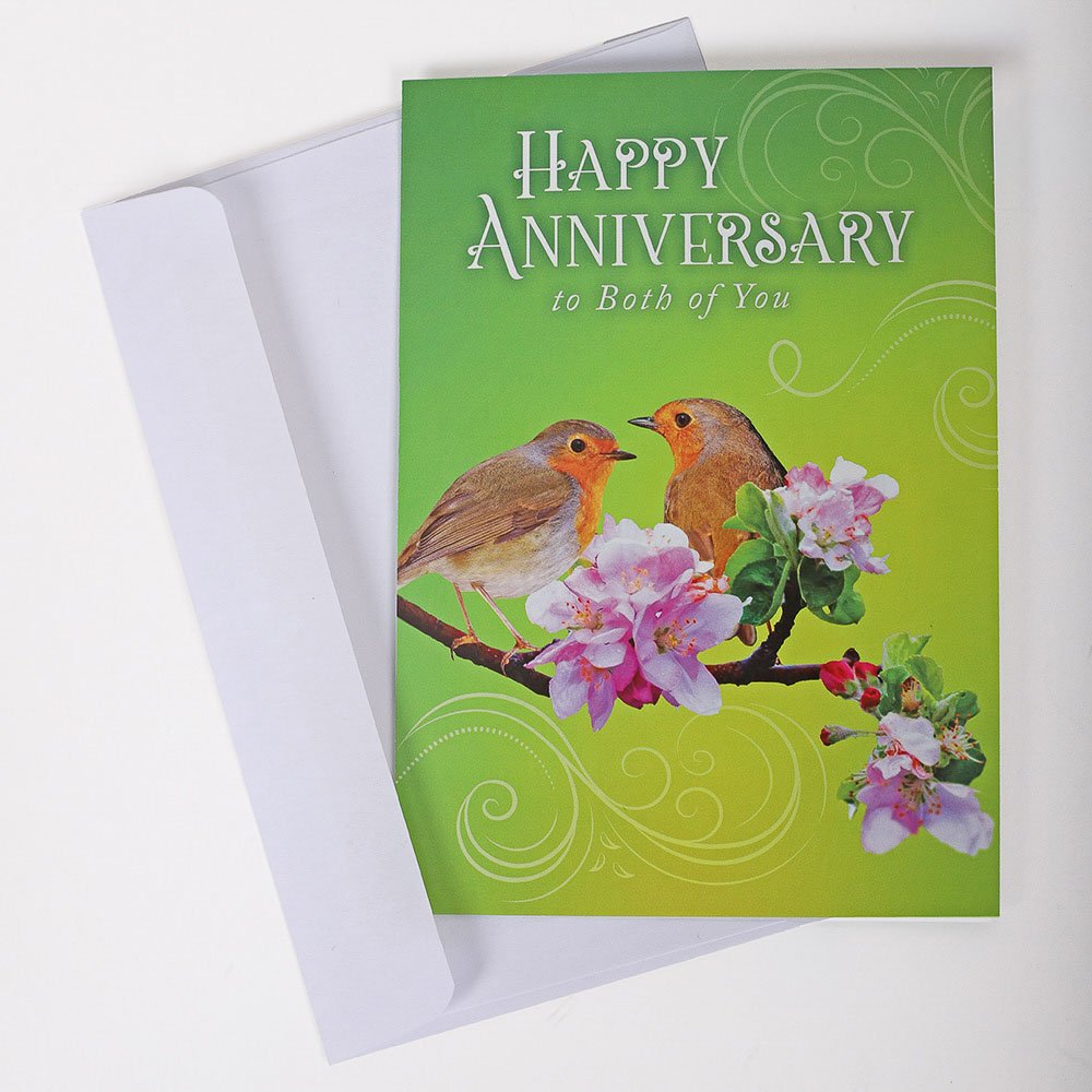 All Occasion Cards - Feathered Friends 12Ct Boxed Set KJV - Image 8