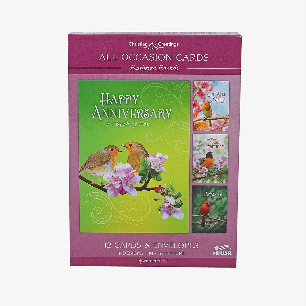 All Occasion Cards - Feathered Friends 12Ct Boxed Set KJV - Image 10
