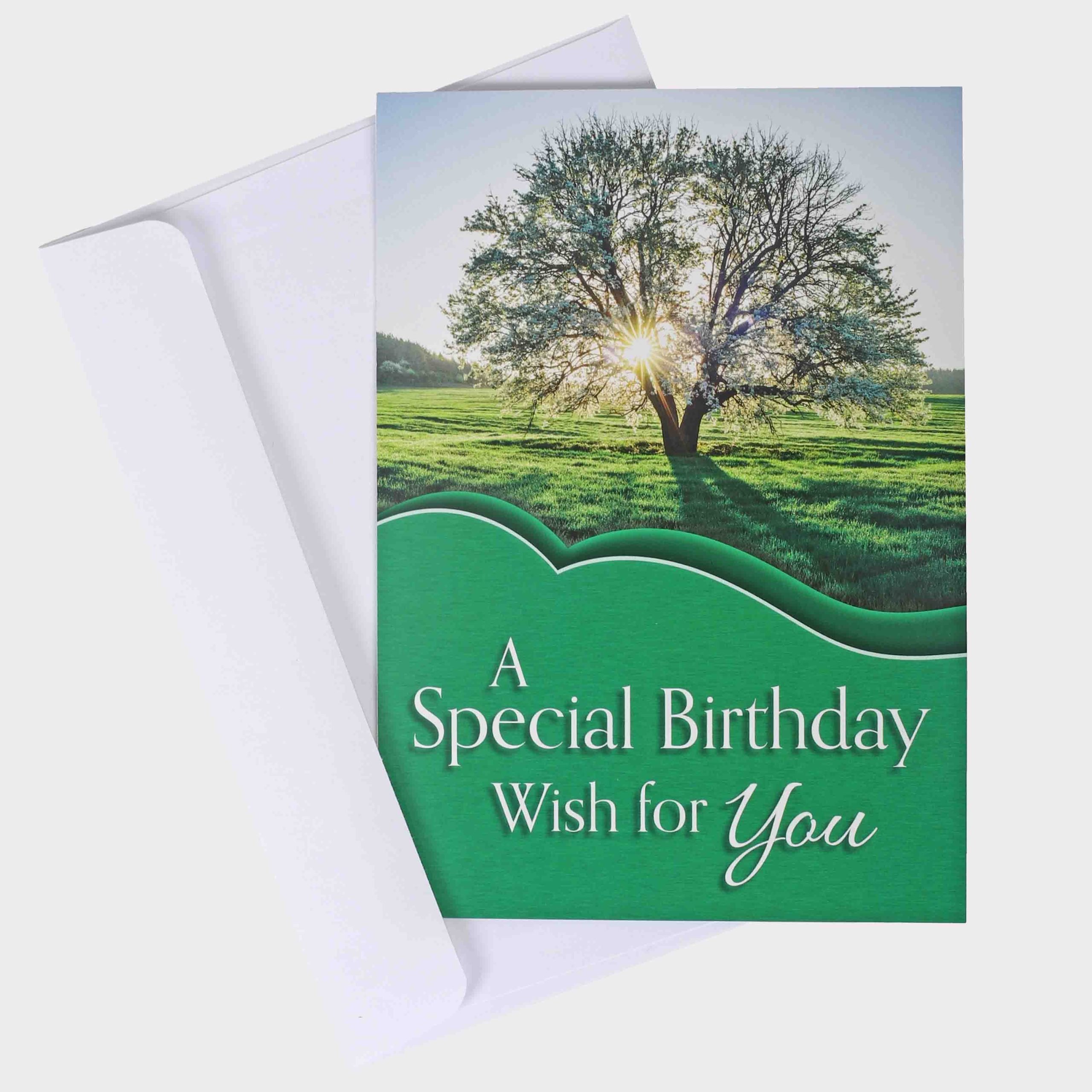 Birthday Cards - Brightest Blessings Boxed Set 12Ct KJV - Image 8