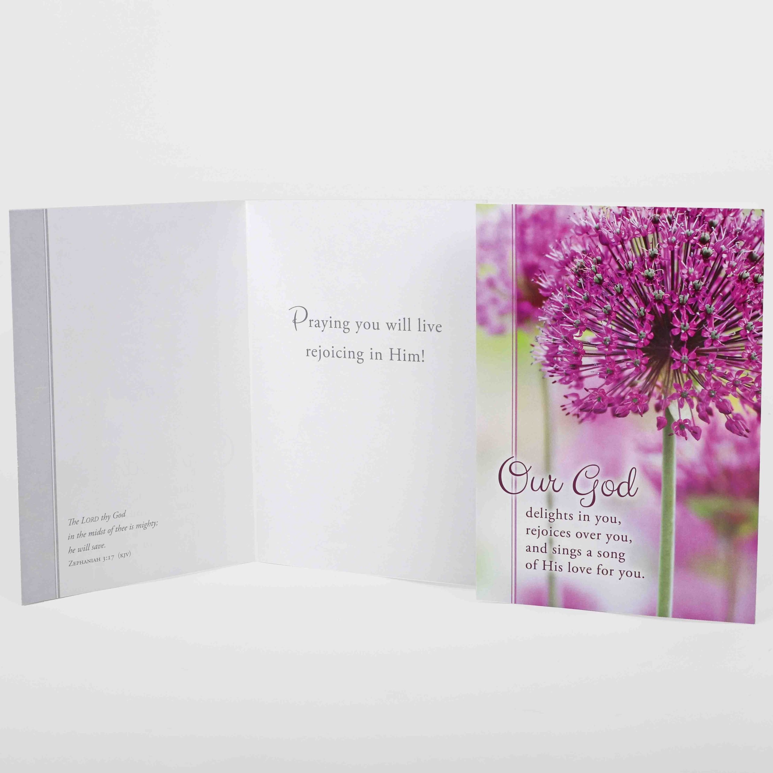 Encouragement Cards - Day By Day Boxed Set 12Ct KJV - Image 3