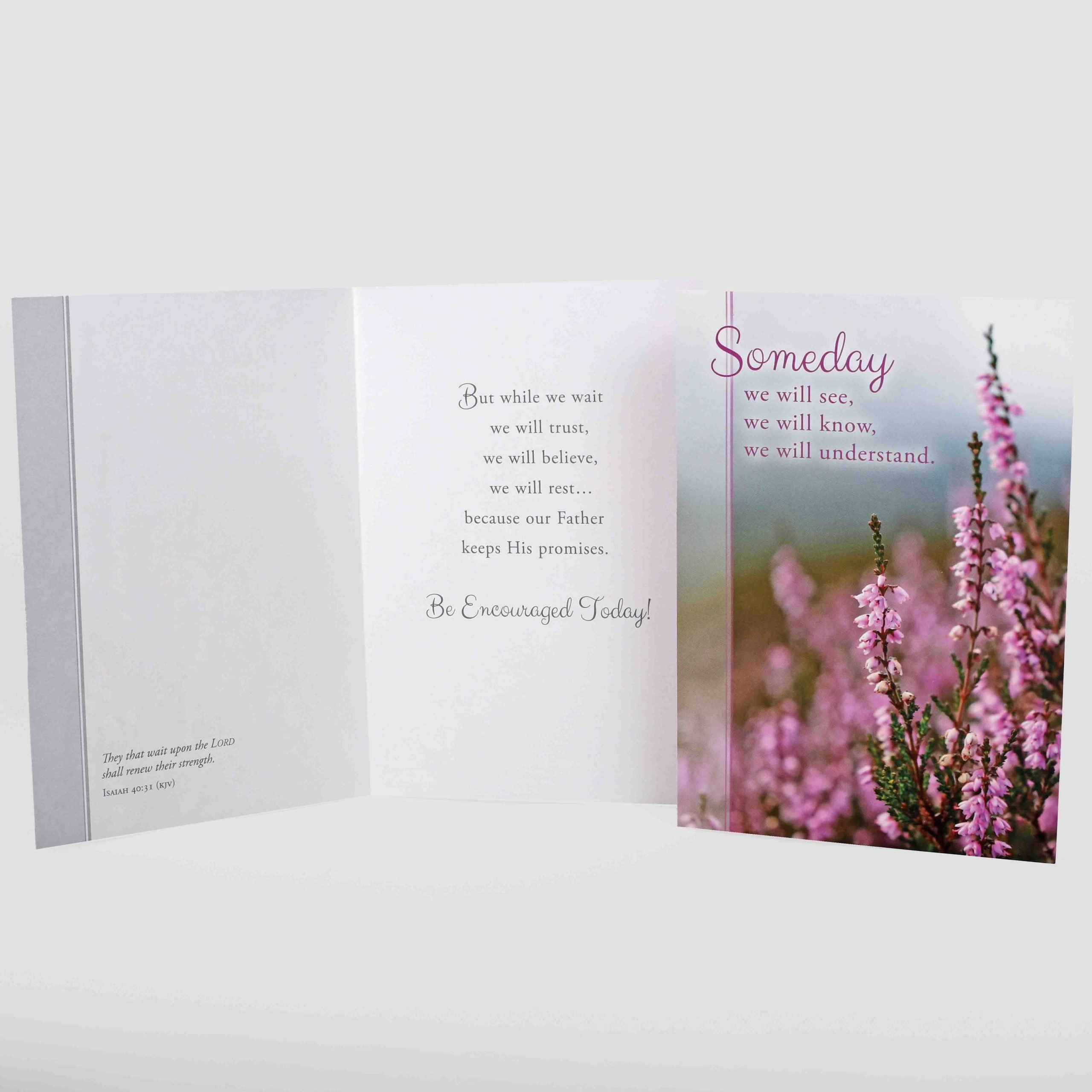 Encouragement Cards - Day By Day Boxed Set 12Ct KJV - Image 4
