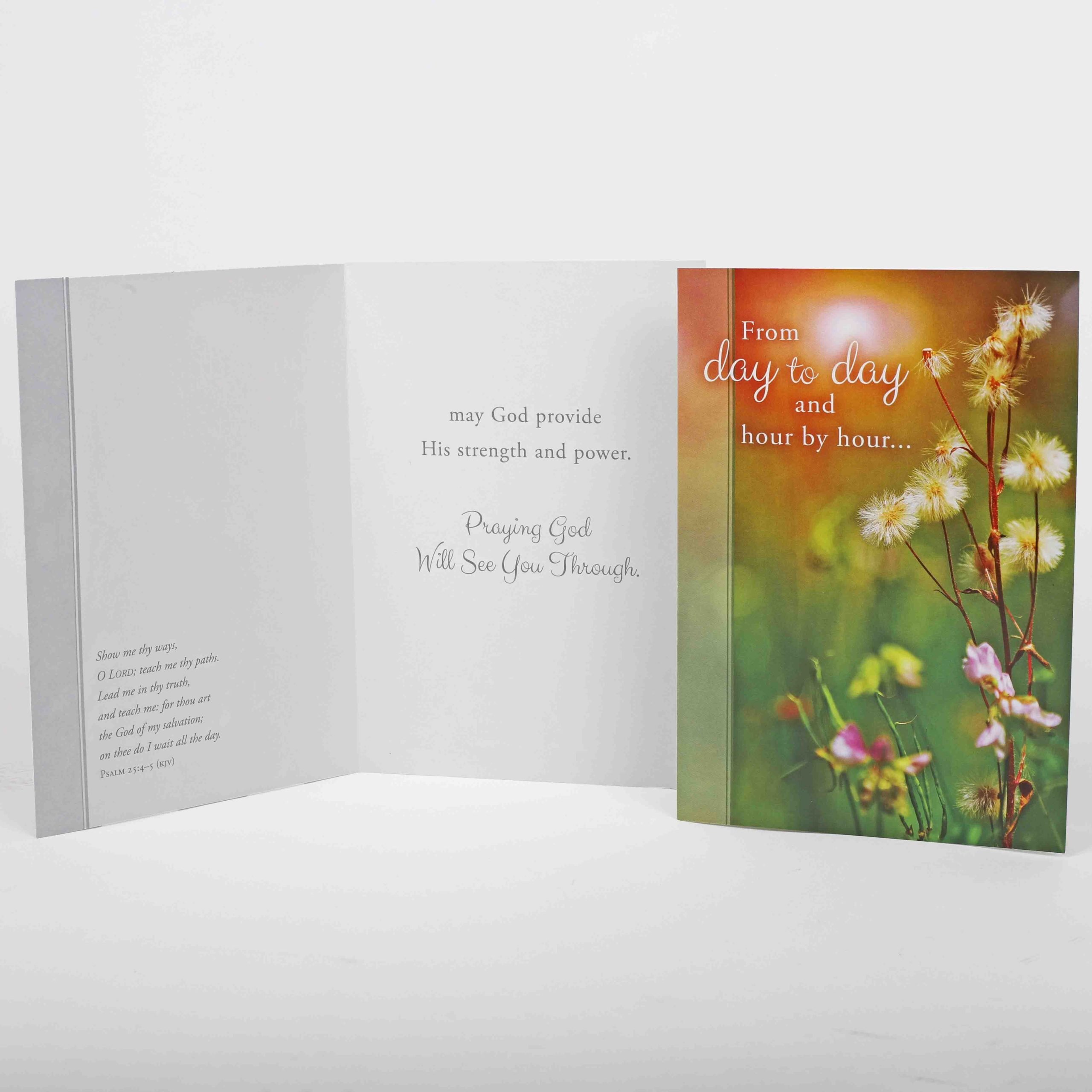 Encouragement Cards - Day By Day Boxed Set 12Ct KJV - Image 6