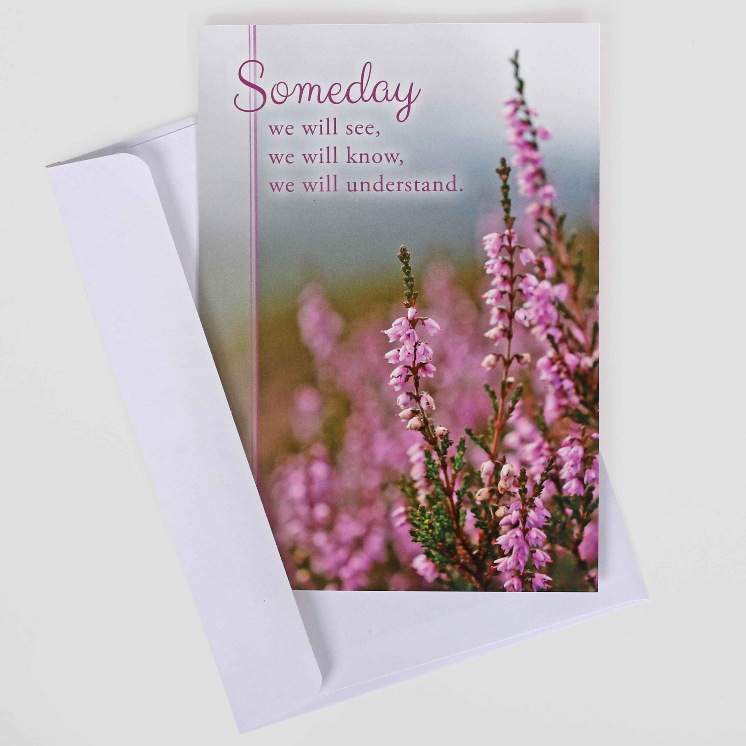 Encouragement Cards - Day By Day Boxed Set 12Ct KJV - Image 7