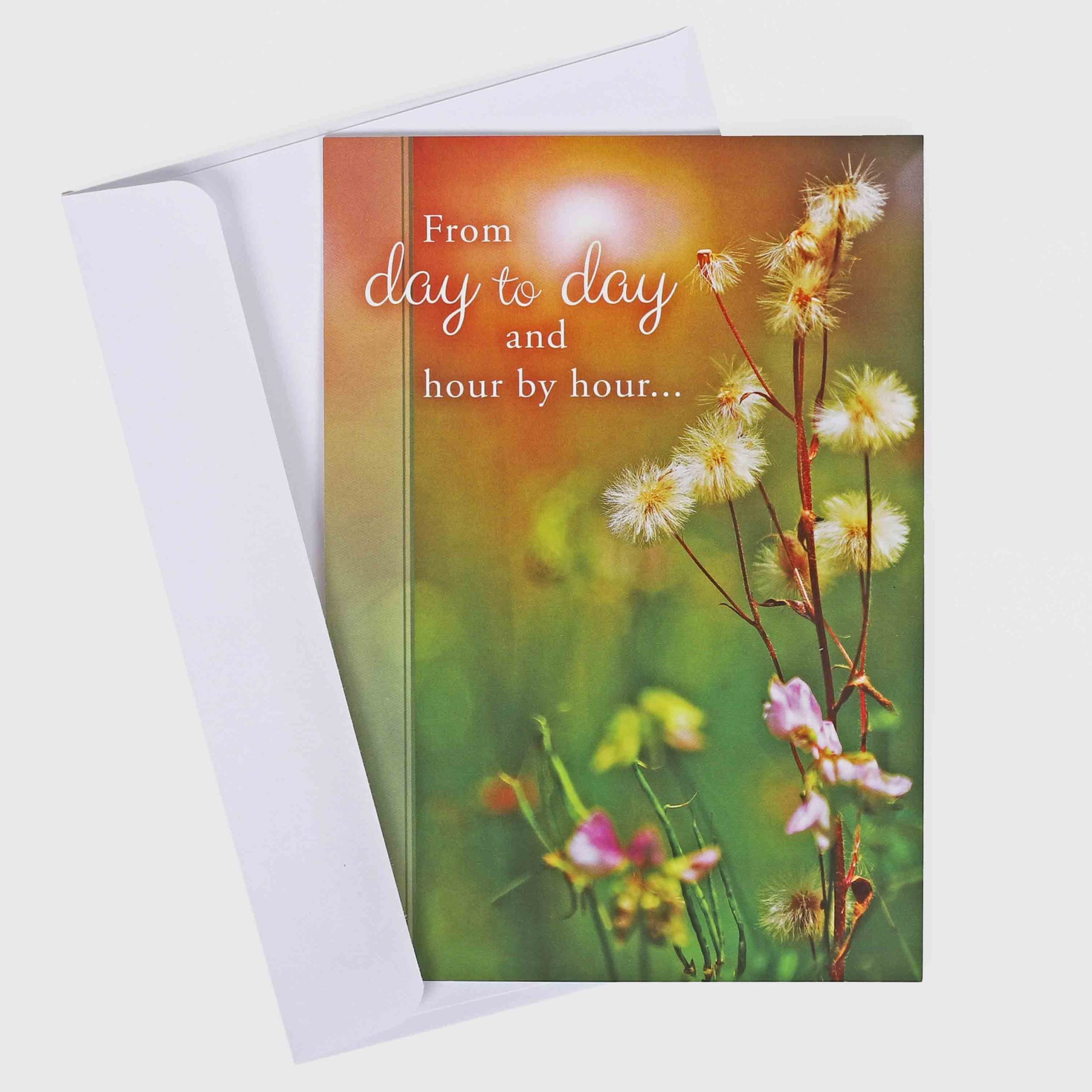 Encouragement Cards - Day By Day Boxed Set 12Ct KJV - Image 9