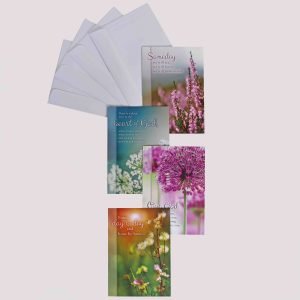 Encouragement Cards – Day By Day Boxed Set 12Ct KJV