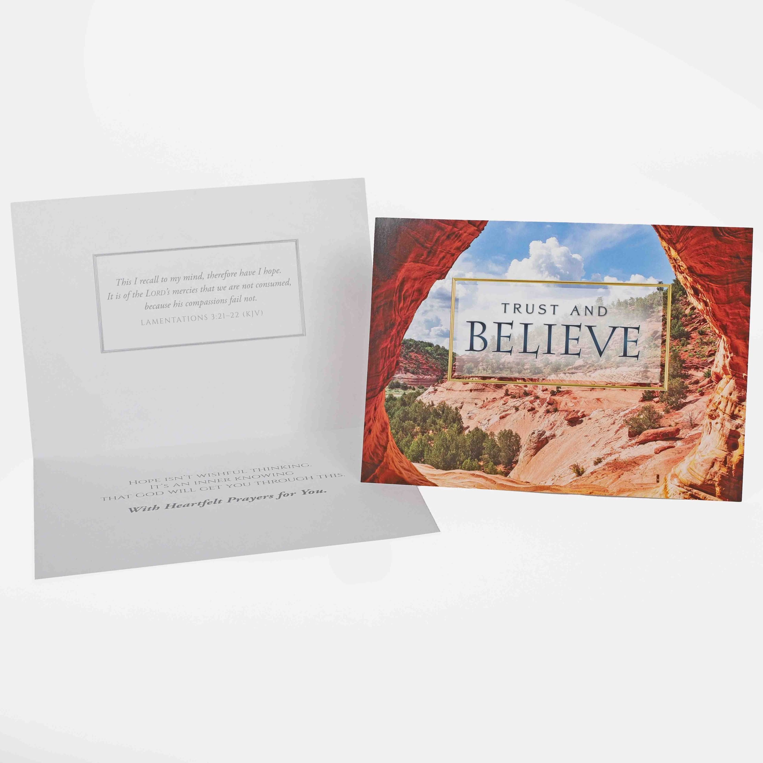 Praying For You Cards - Nature'S Splendor Boxed Set 12Ct KJV - Image 4