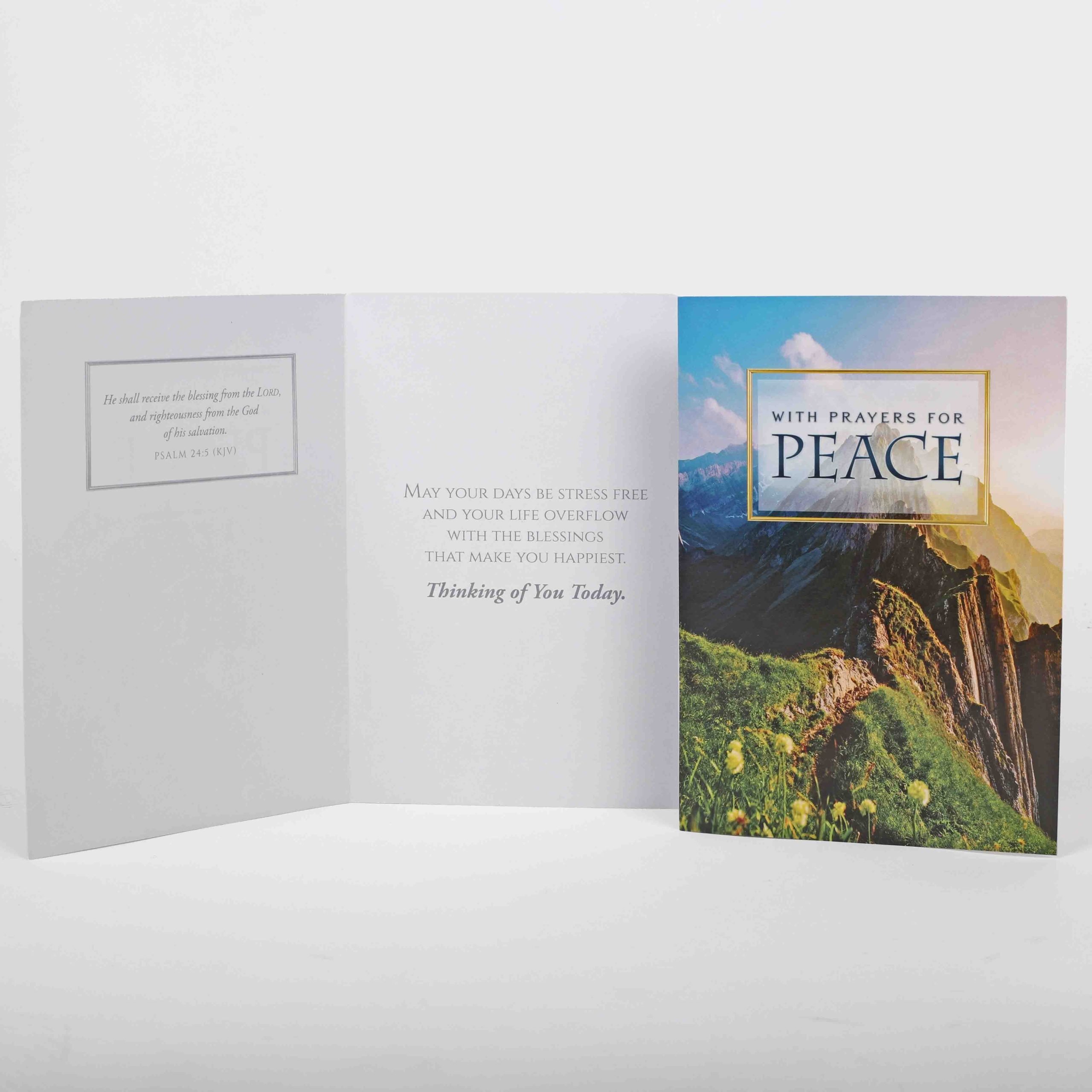 Praying For You Cards - Nature'S Splendor Boxed Set 12Ct KJV - Image 5