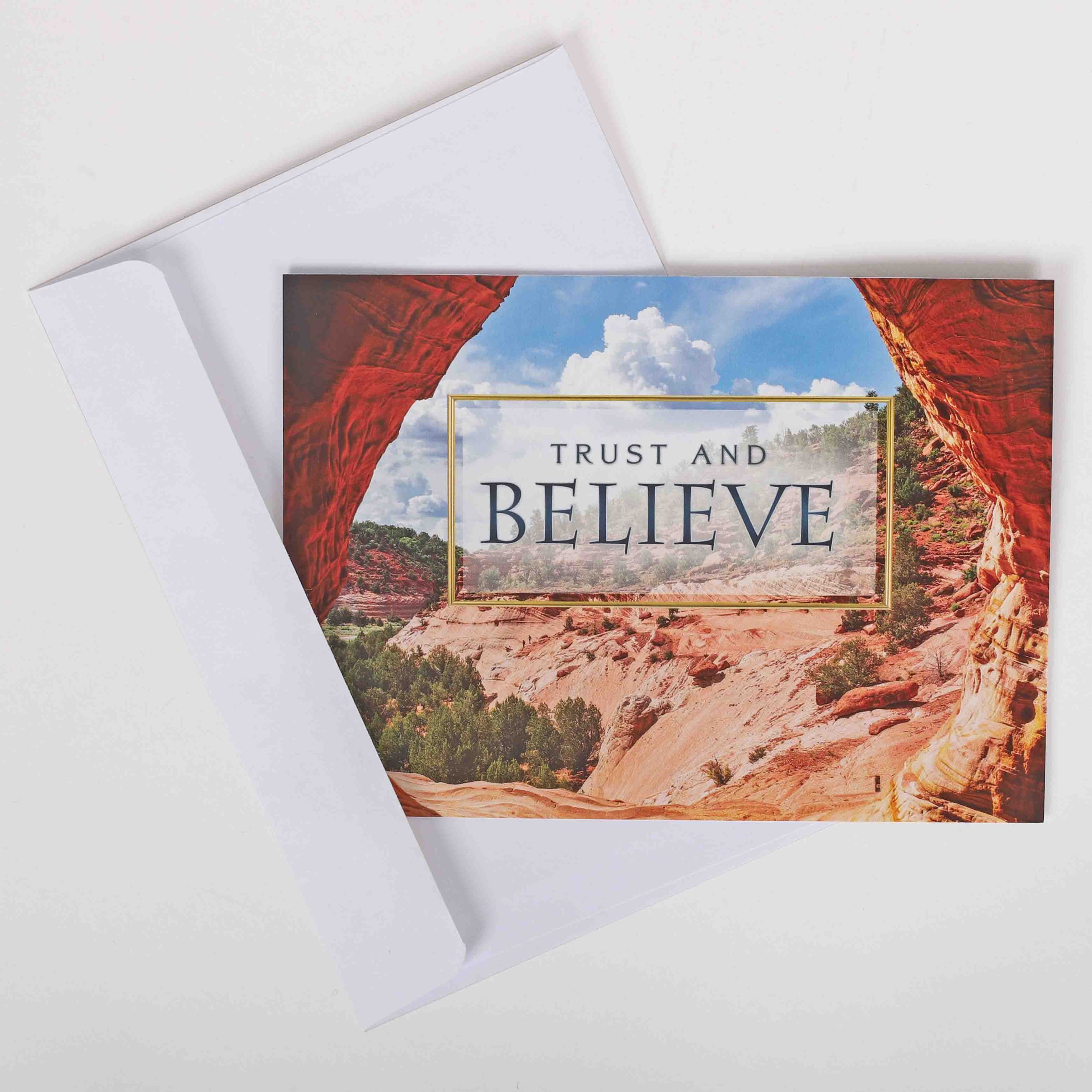 Praying For You Cards - Nature'S Splendor Boxed Set 12Ct KJV - Image 9