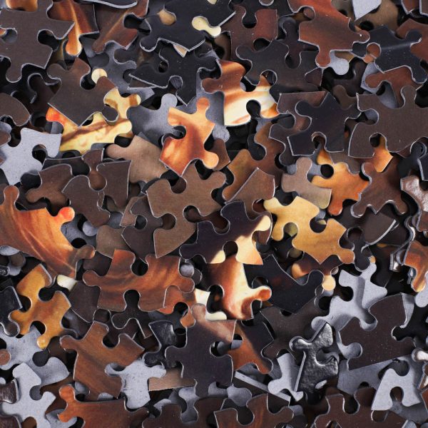 Puzzle Praying At Gethsemane - Swanson Christian Products