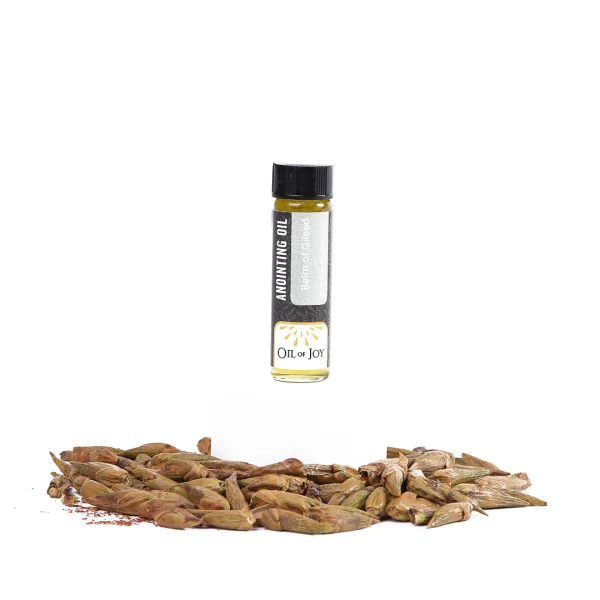 Anointing Oil - Balm of Gilead - 1/4 oz - Pk6 | Swanson Christian Products