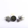 oil of joy balm-Spikenard -Swanson Christian Products